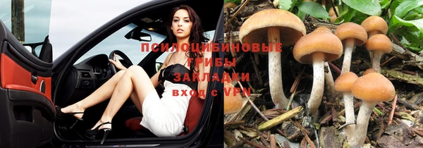 дурь Нефтегорск